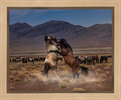 Desert Duel