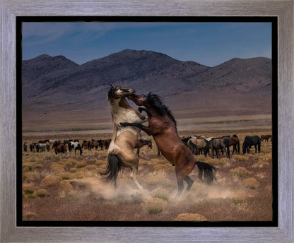 Desert Duel