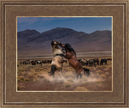 Desert Duel