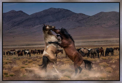 Desert Duel