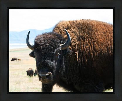 What Are You Looking At