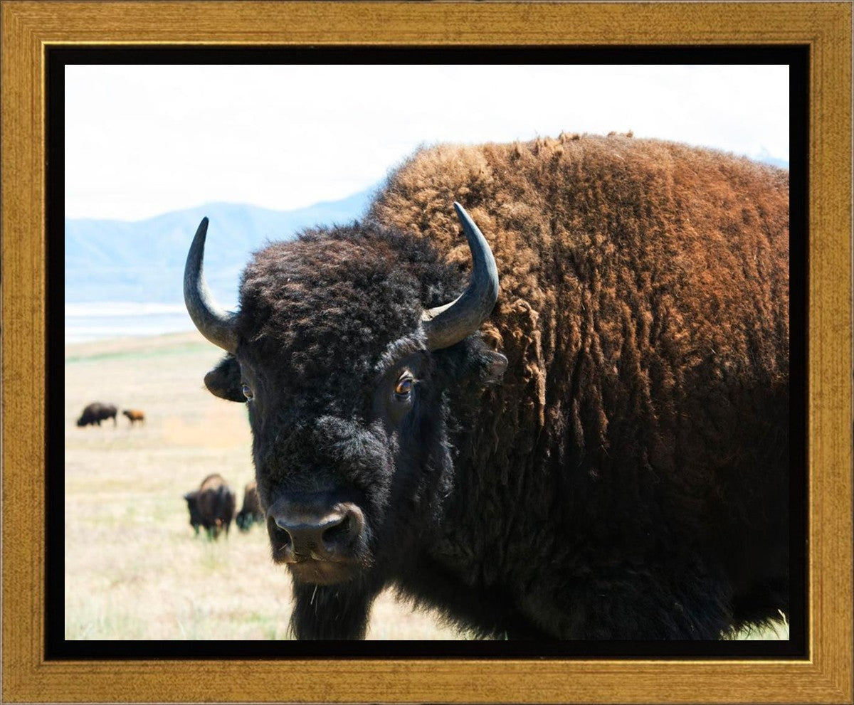 What Are You Looking At