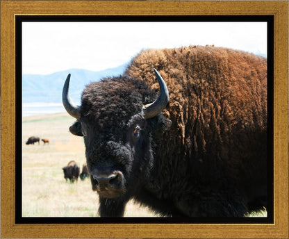 What Are You Looking At