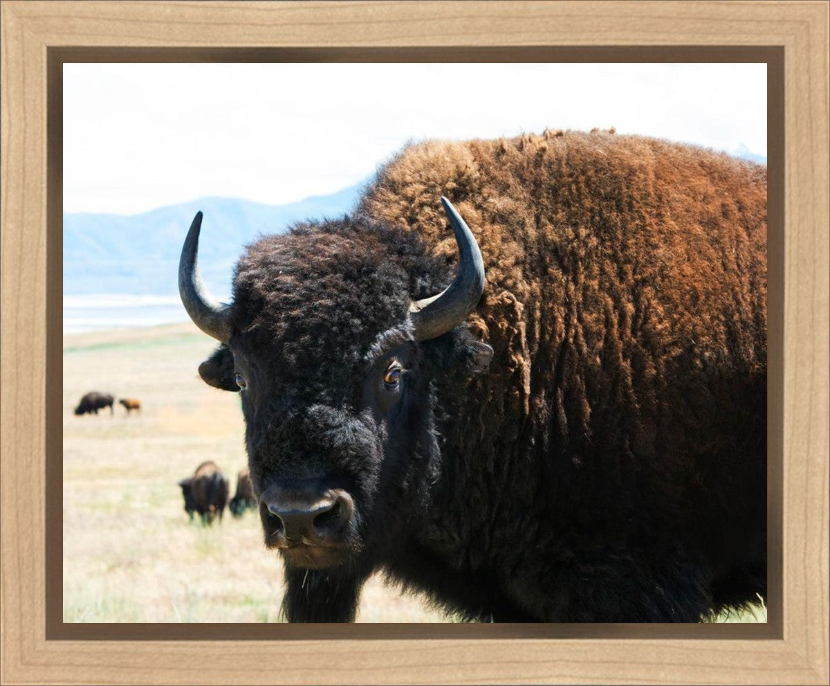 What Are You Looking At