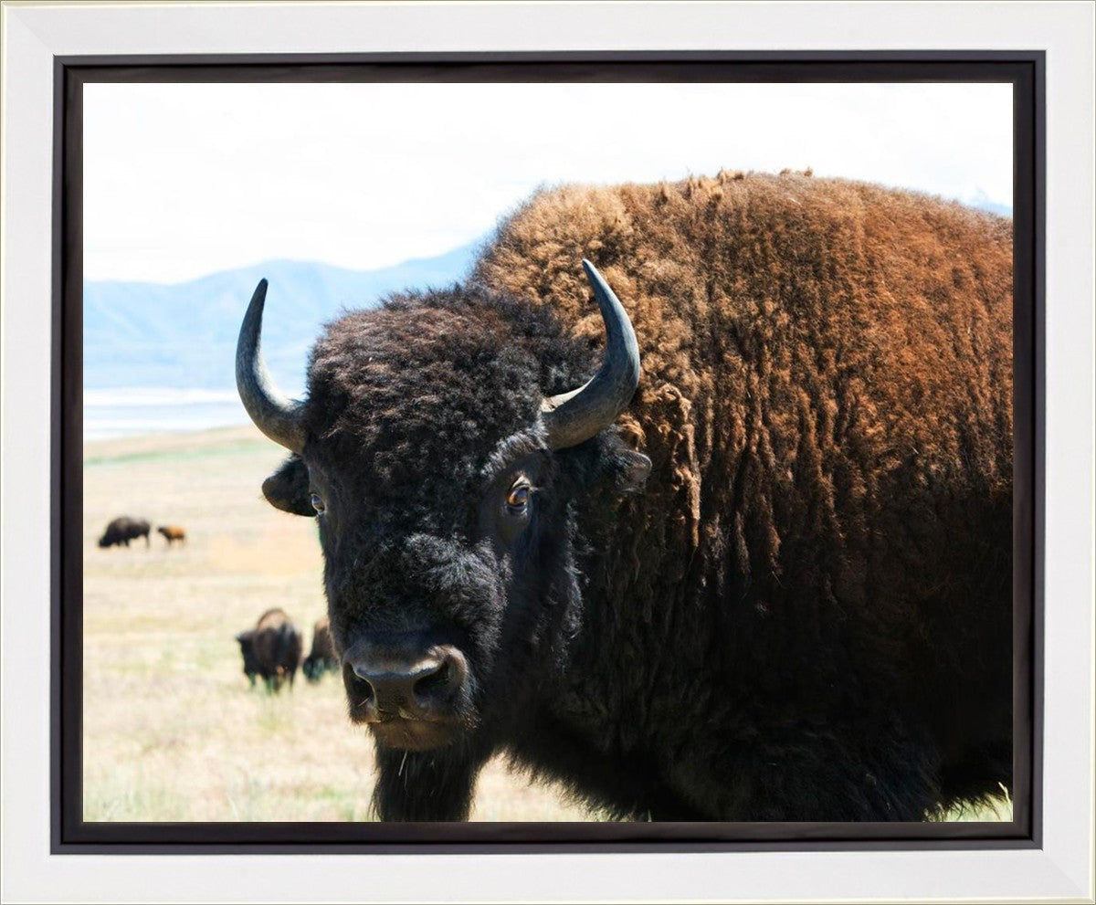 What Are You Looking At