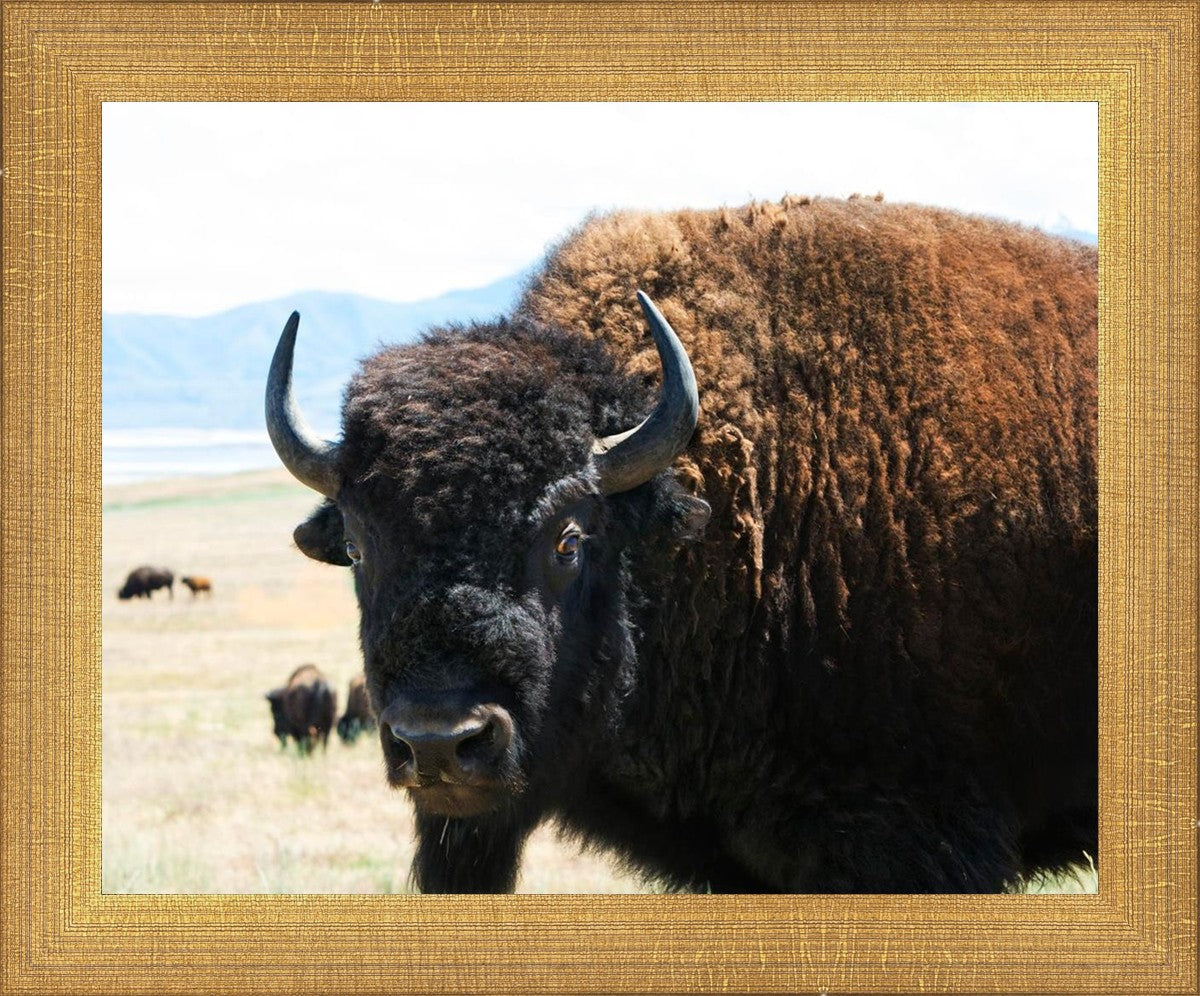 What Are You Looking At