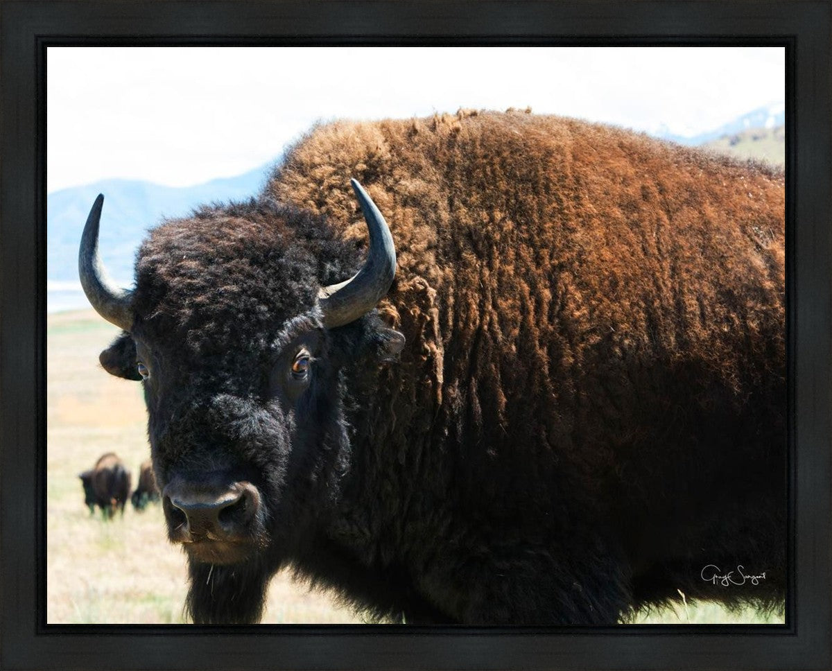 What Are You Looking At