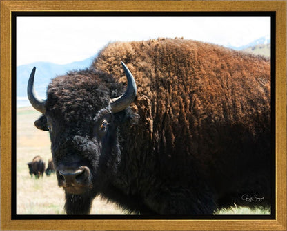 What Are You Looking At