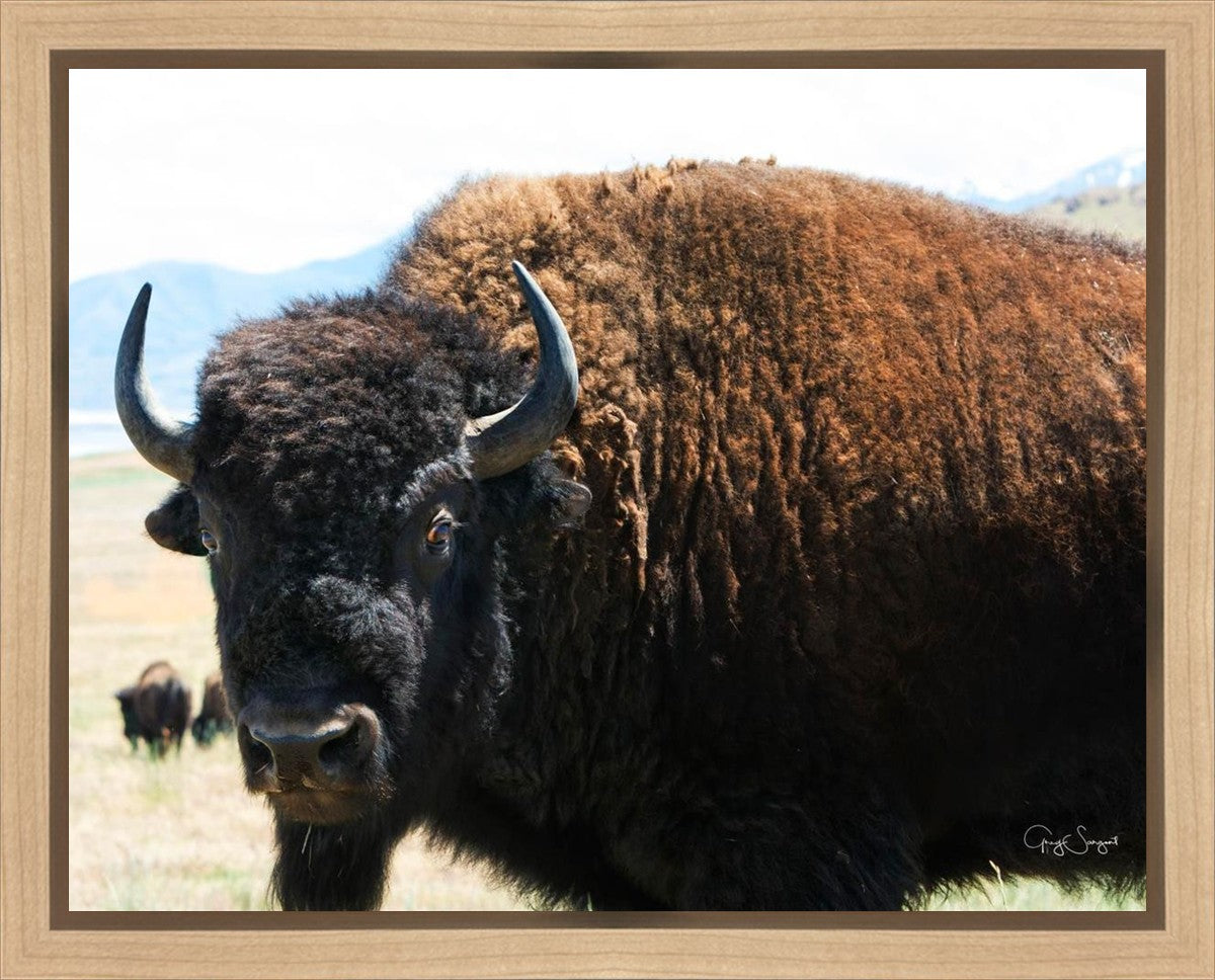 What Are You Looking At