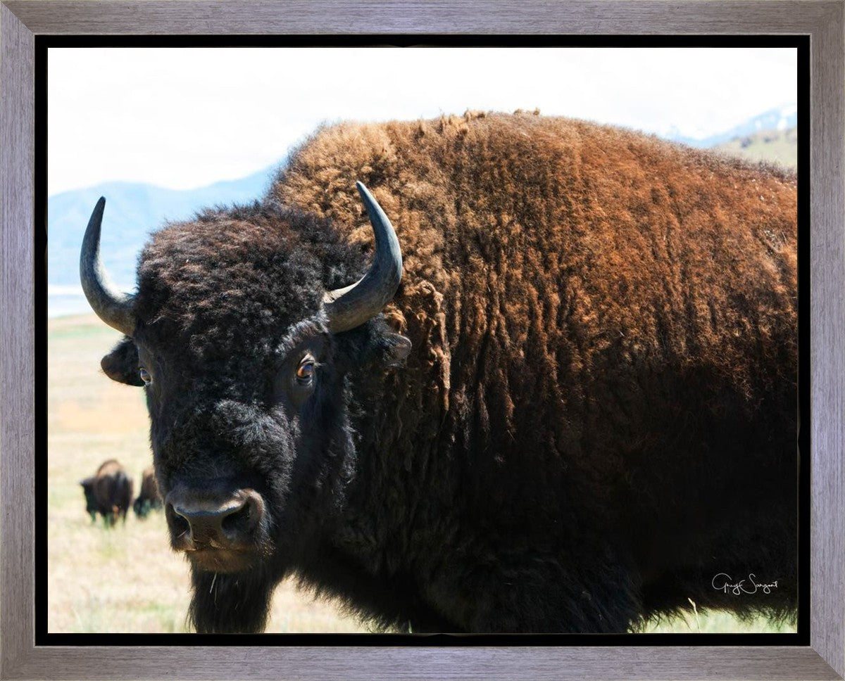 What Are You Looking At