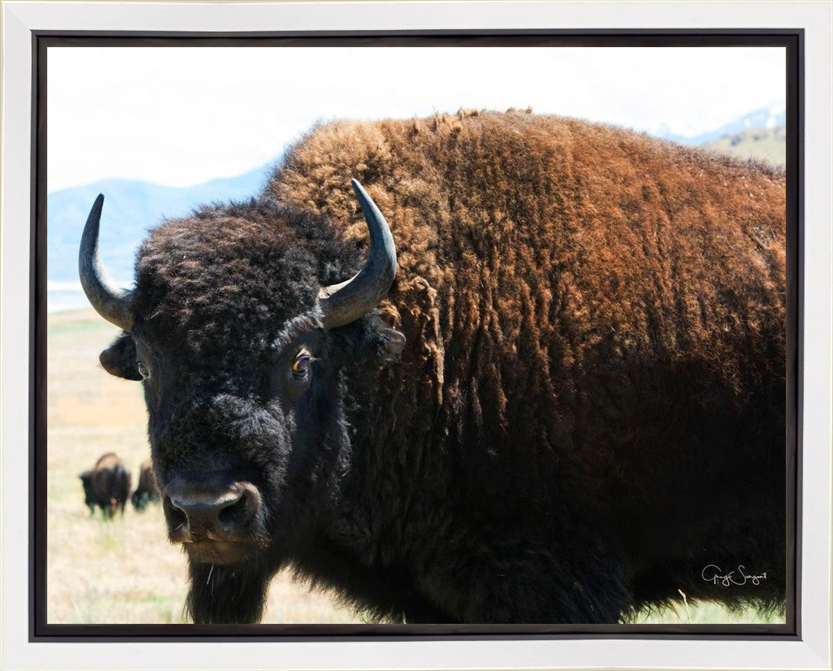 What Are You Looking At