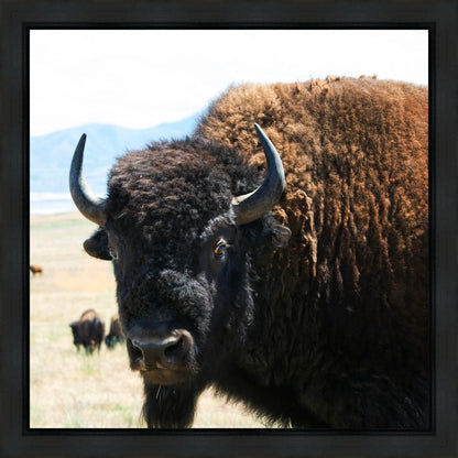 What Are You Looking At