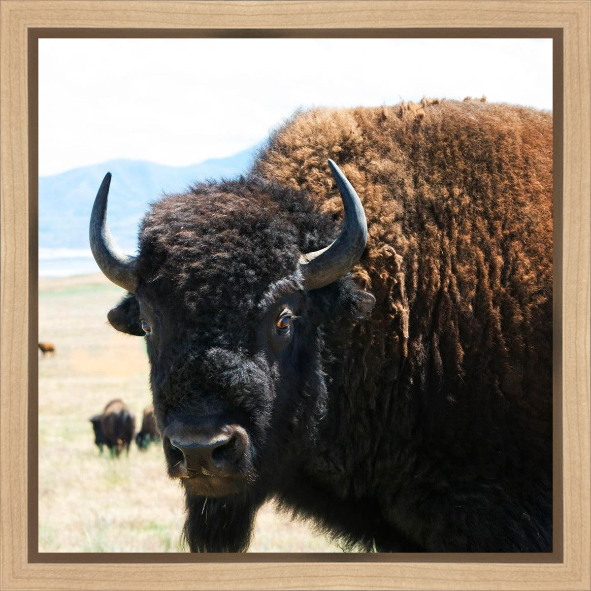 What Are You Looking At