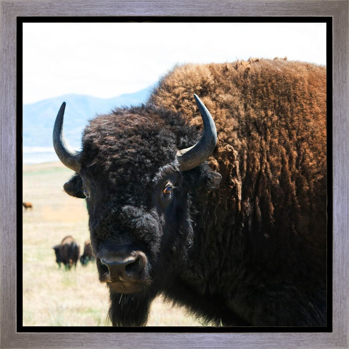 What Are You Looking At