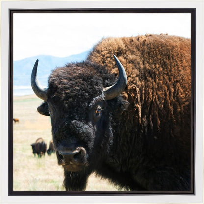 What Are You Looking At