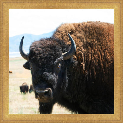 What Are You Looking At