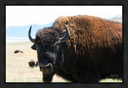 What Are You Looking At