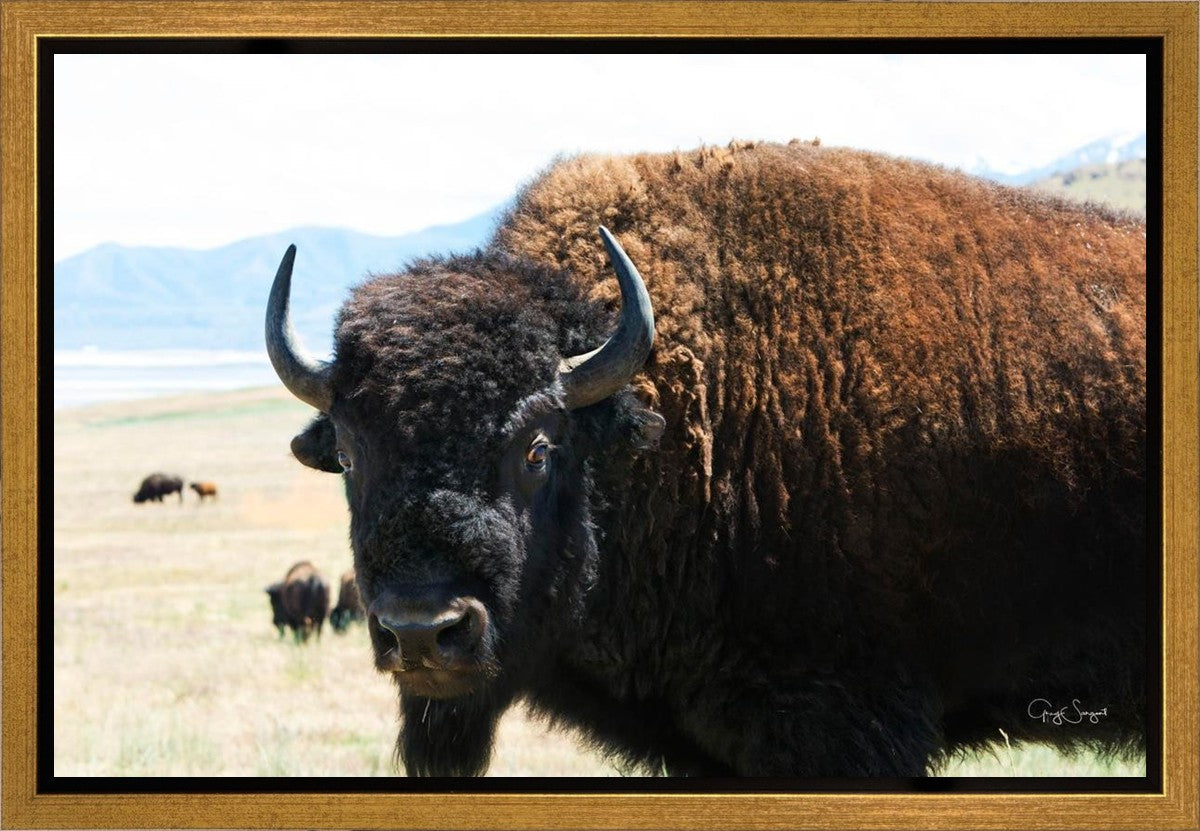 What Are You Looking At