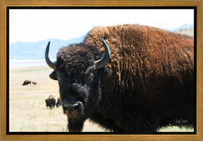 What Are You Looking At