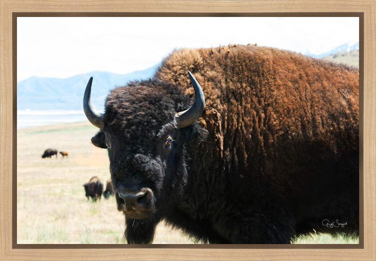 What Are You Looking At