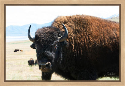 What Are You Looking At