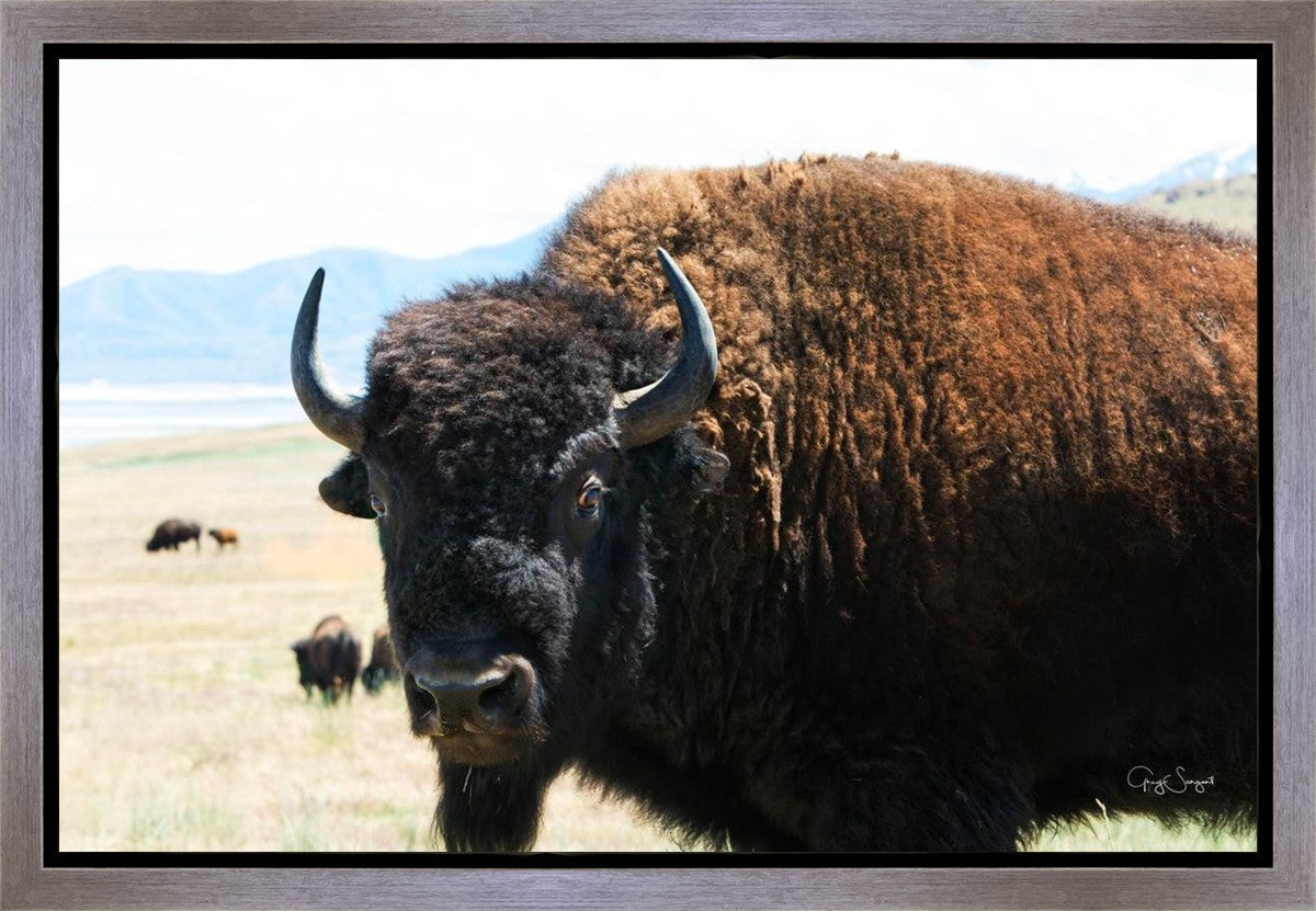 What Are You Looking At