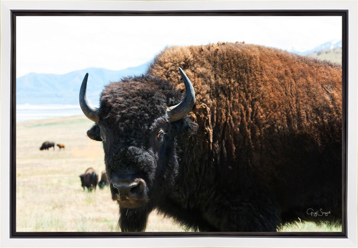 What Are You Looking At