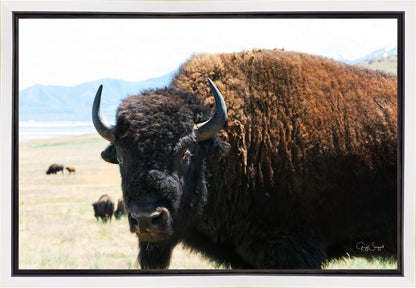 What Are You Looking At