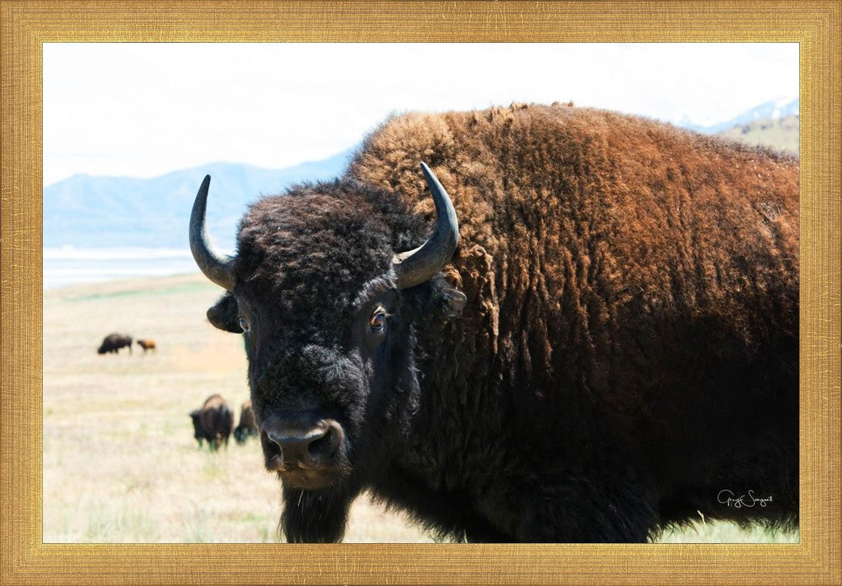 What Are You Looking At