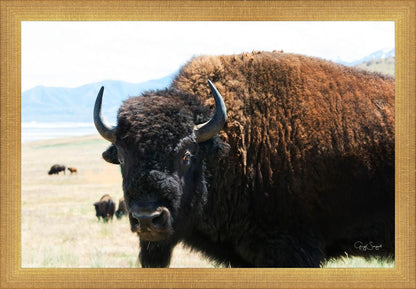 What Are You Looking At