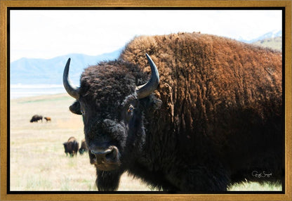 What Are You Looking At