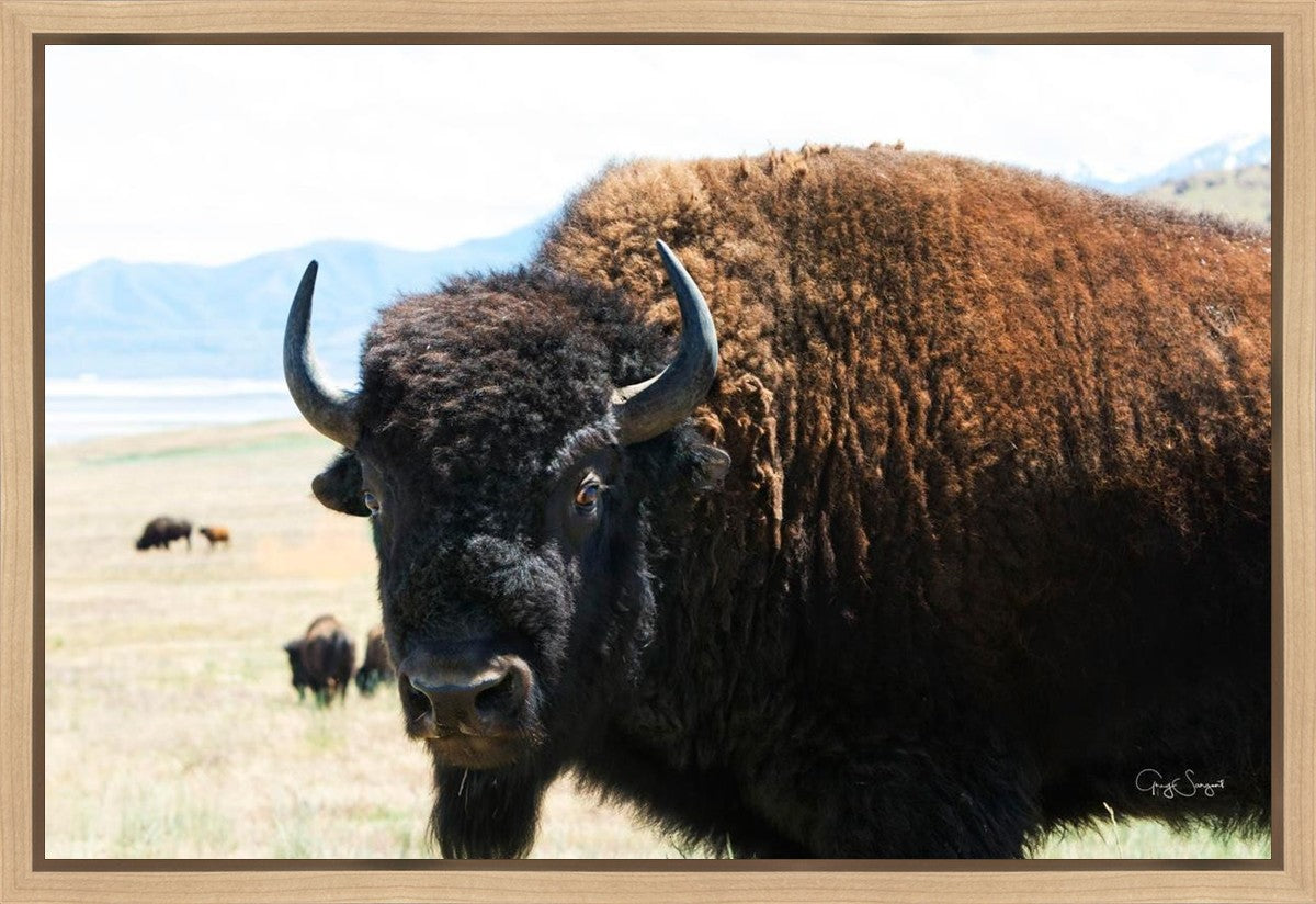 What Are You Looking At