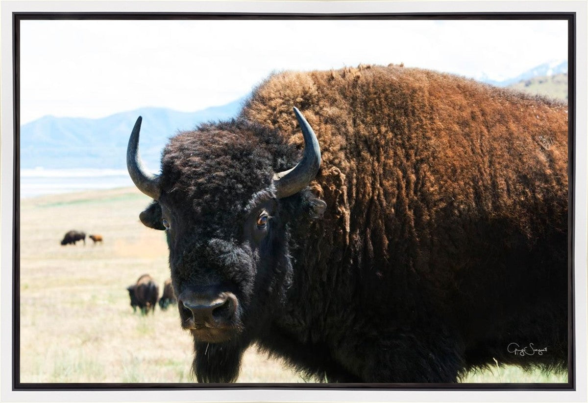 What Are You Looking At