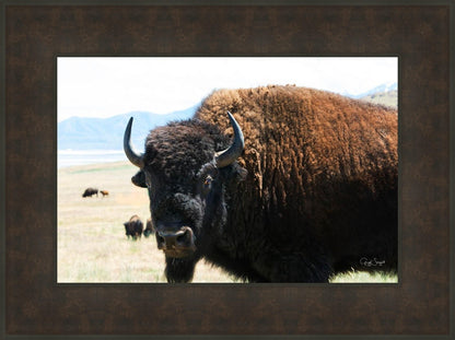 What Are You Looking At