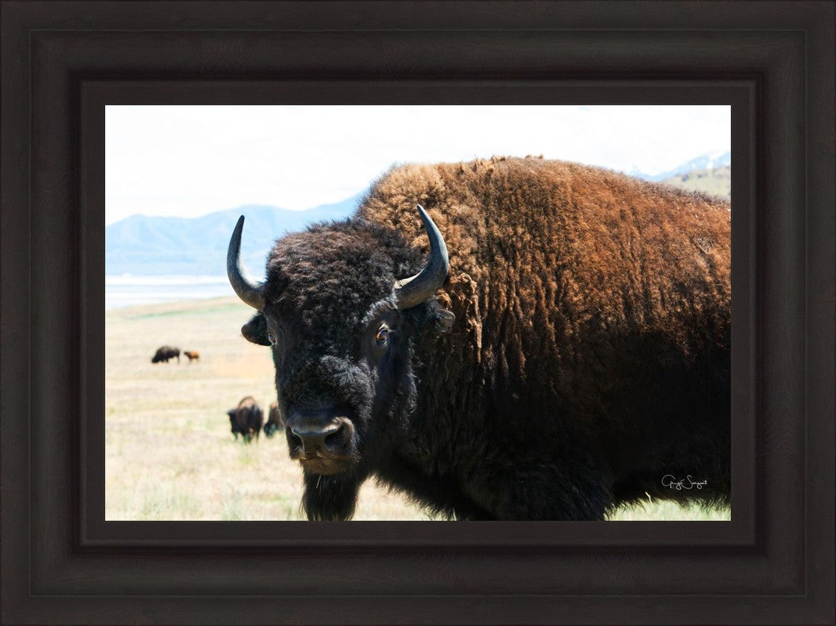 What Are You Looking At