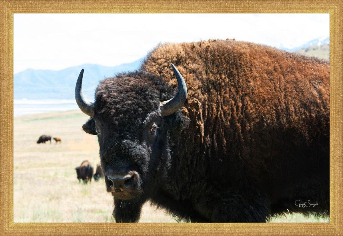 What Are You Looking At