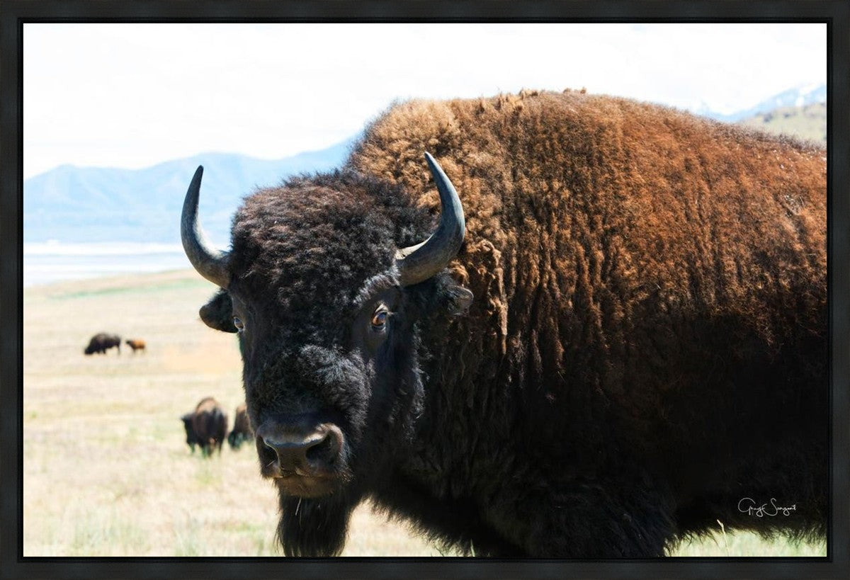 What Are You Looking At