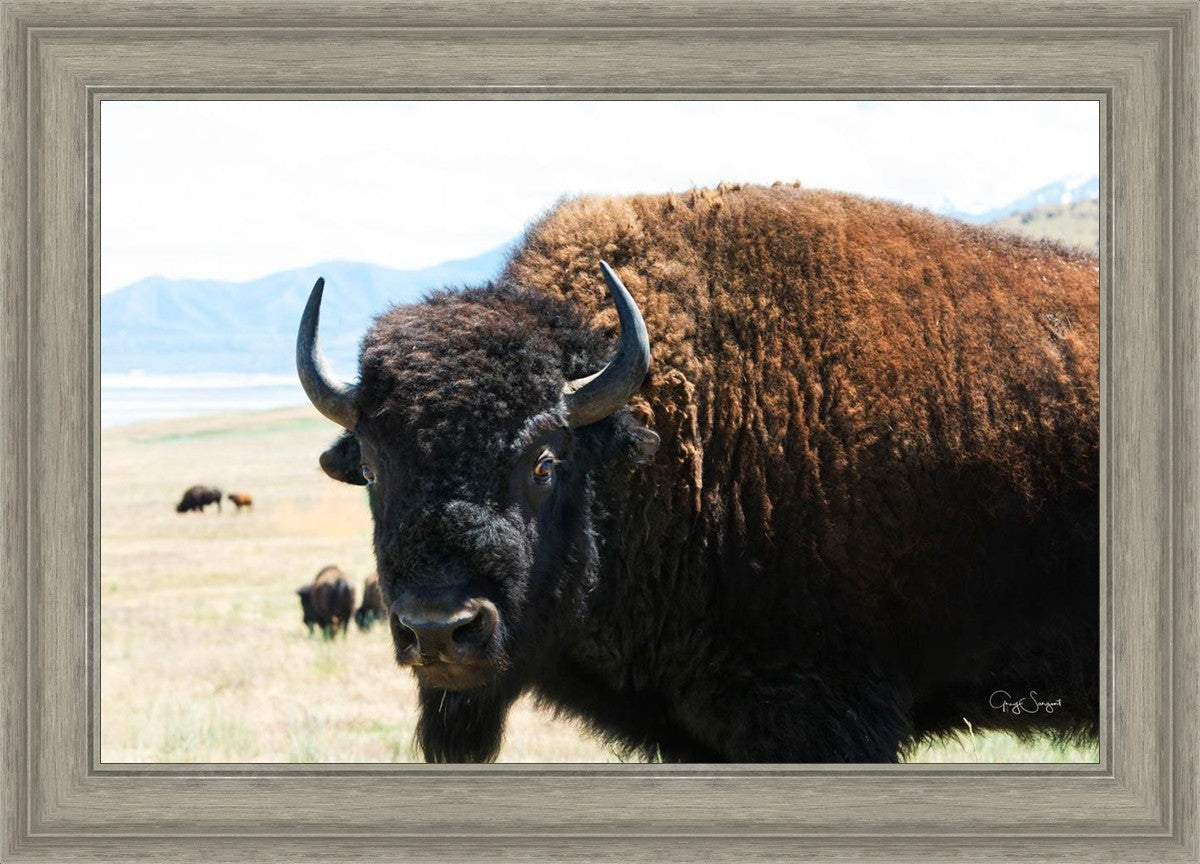 What Are You Looking At