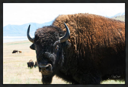 What Are You Looking At