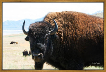 What Are You Looking At