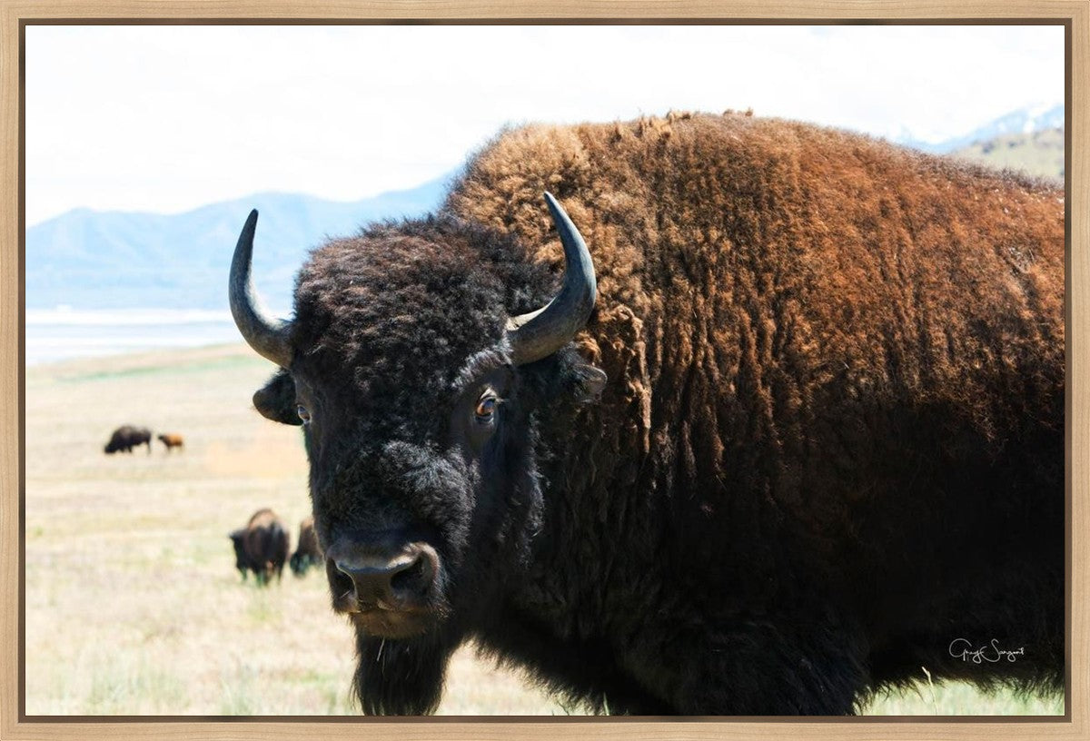 What Are You Looking At