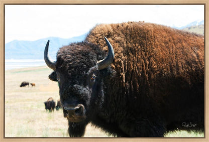 What Are You Looking At