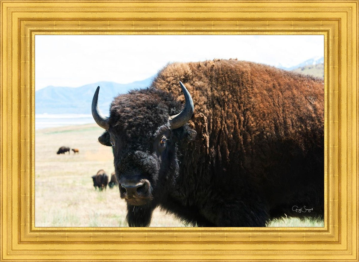 What Are You Looking At