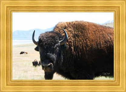 What Are You Looking At