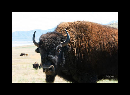 What Are You Looking At