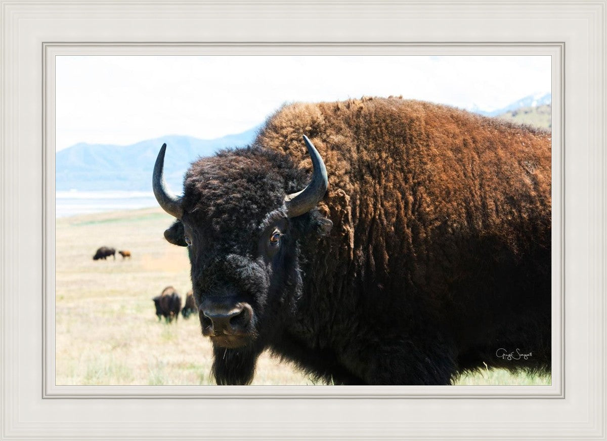 What Are You Looking At