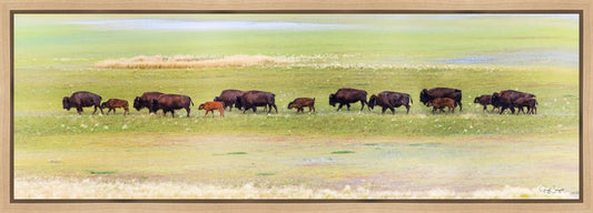 Migration