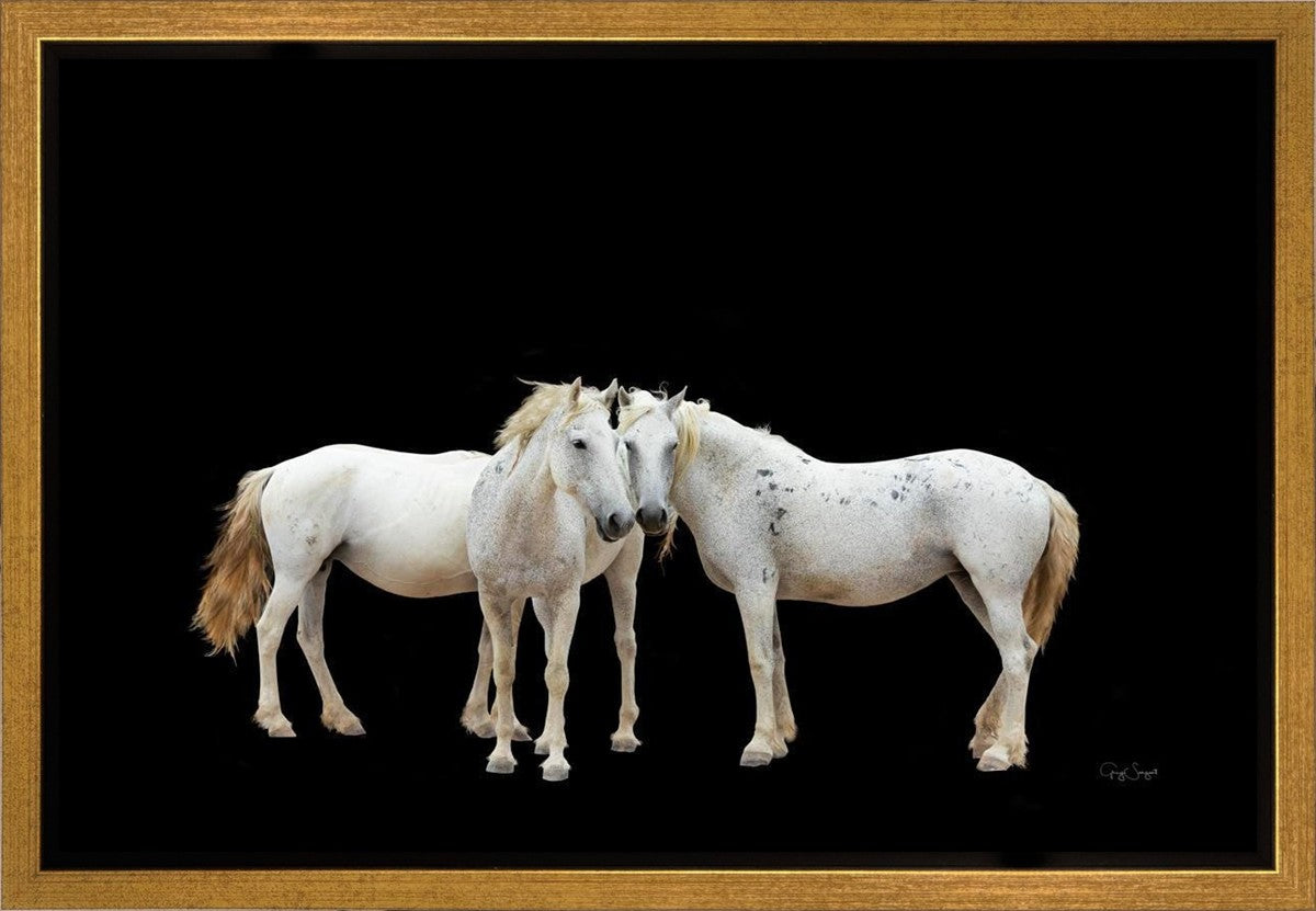 Three White Horses
