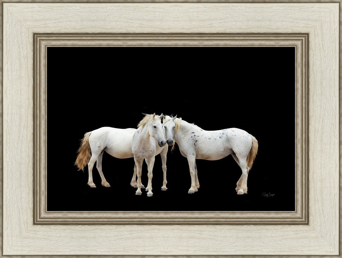 Three White Horses