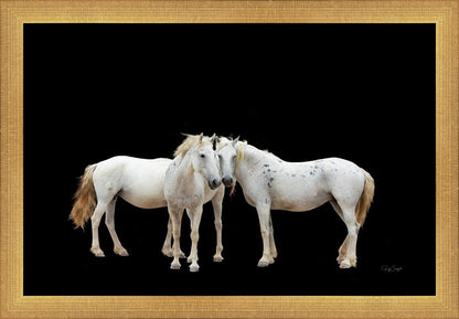 Three White Horses